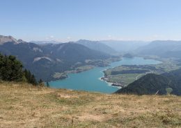 Der Aufstieg zum Elfersteinsattel am Zwölferhorn lohnt sich